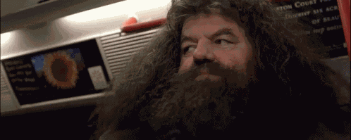 Hagrid Harry Potter GIF