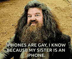 Hagrid Harry Potter GIF