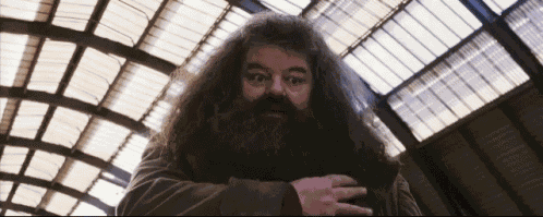 Hagrid Harry Potter GIF