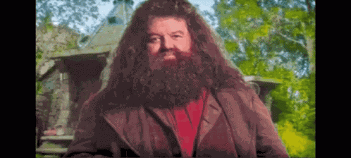 Hagrid Millionaire GIF