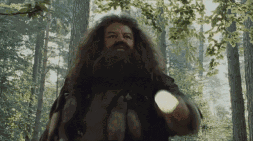 Hagrid GIF