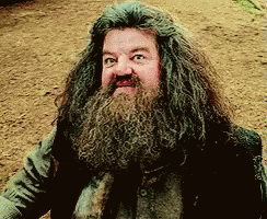 Hagrid What GIF