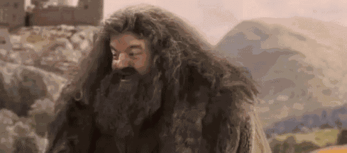 Hagrid Yay GIF