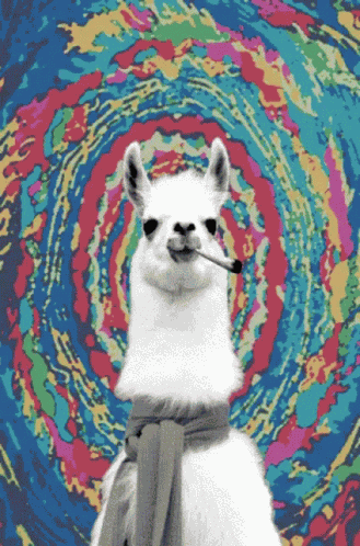 Haha Funny GIF
