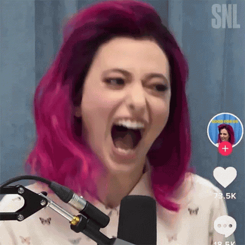 Hahaha Saturday Night Live GIF