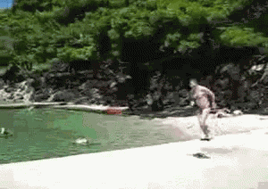 Hai  GIF