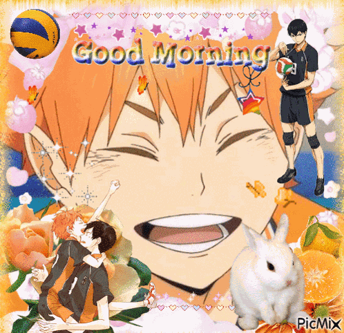Haik Hinata Shoyo GIF