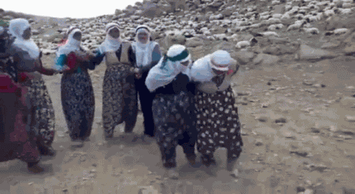 Halay GIF