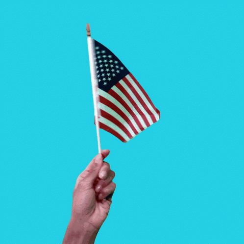 Halive2022 American Flag GIF