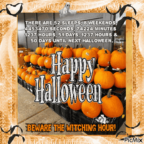 Halloween Halloween Countdown GIF