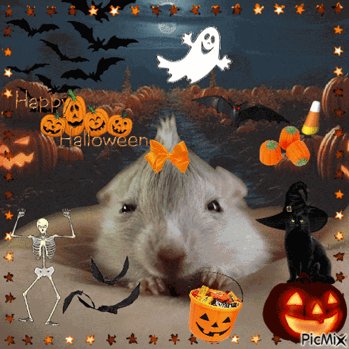 Halloween Spooky GIF