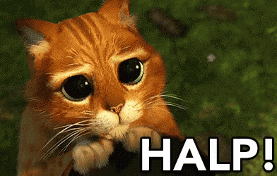 Halp GIF