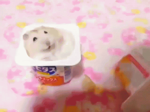 Hampter Yogurt Slap GIF