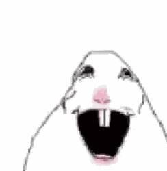 Hamster Dance Draw GIF