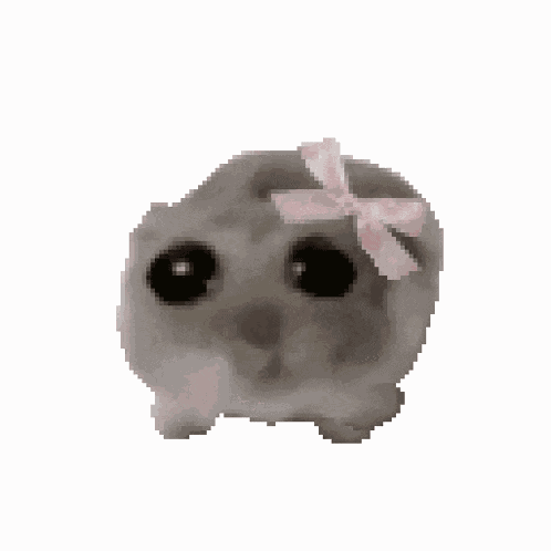 Hamster Meme GIF