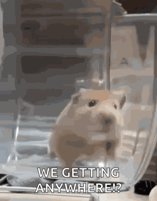 Hamster Run GIF