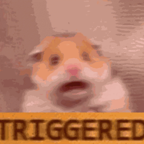 Hamster Triggered GIF