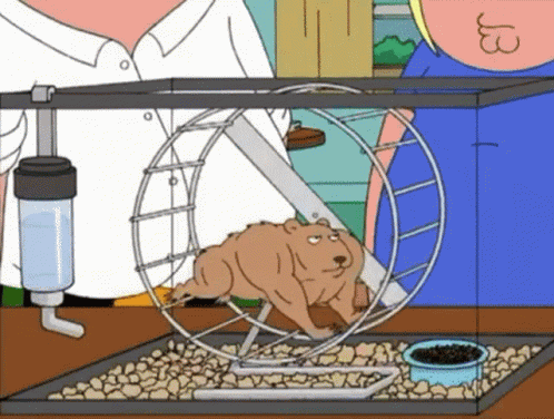 Hamster Wheel GIF