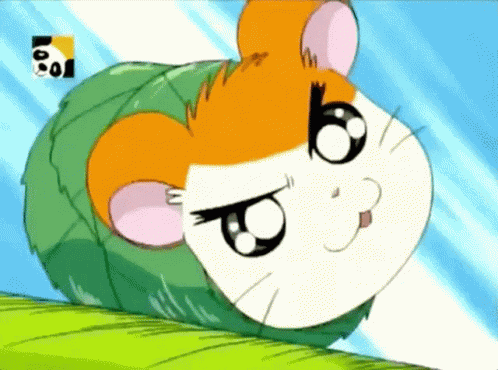 Hamtaro GIF
