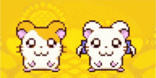Hamtaro Jamout GIF