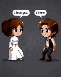Han And Leia Leia And Han GIF