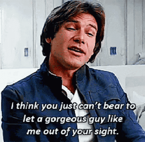 Han Solo Sight GIF