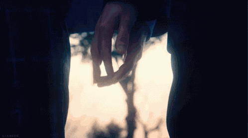 Hand Holding GIF