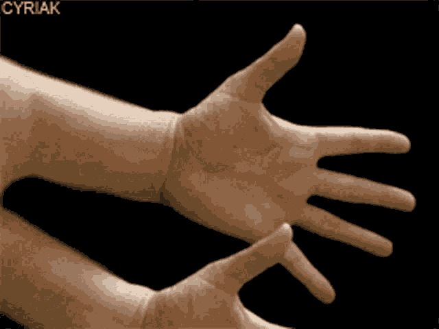 Handsy Hand GIF