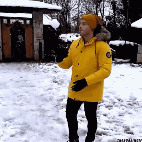 Hanker Snowball GIF