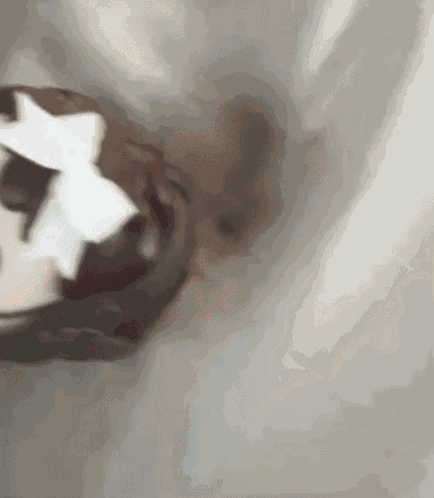 Hannigram Hannibal GIF