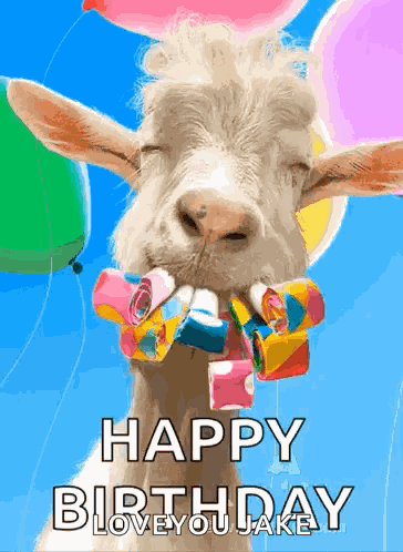 Happy 30th GIF