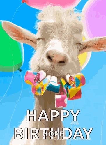 Happy 30th GIF