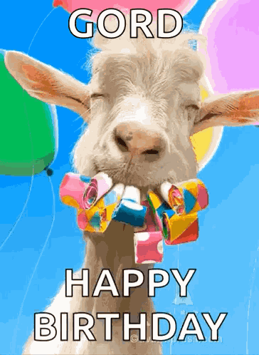 Happy 30th GIF