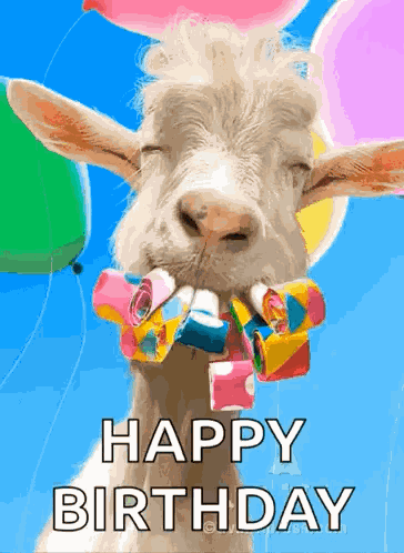 Happy 30th GIF