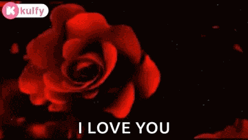 Happy Afternoon Text GIF