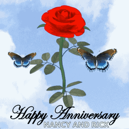 Happy Anniversary Anniversary Rose GIF