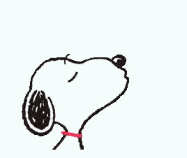 Happy Belated Birthday Luke GIF