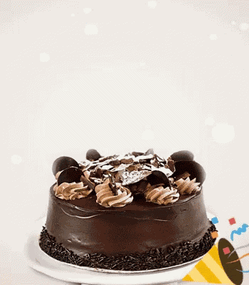 Happy Birthday Bahonon GIF