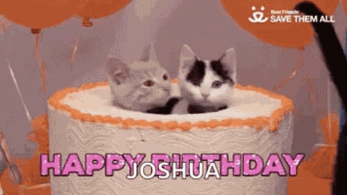 Happy Birthday Birthday Cake GIF