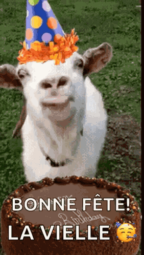 Happy Birthday Birthday Cake GIF