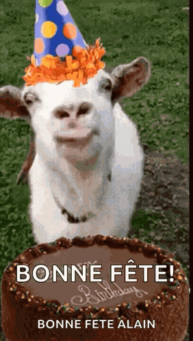 Happy Birthday Birthday Cake GIF