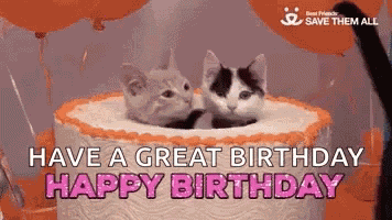 Happy Birthday Birthday Cake GIF