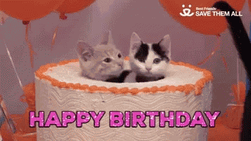 Happy Birthday Birthday Cake GIF