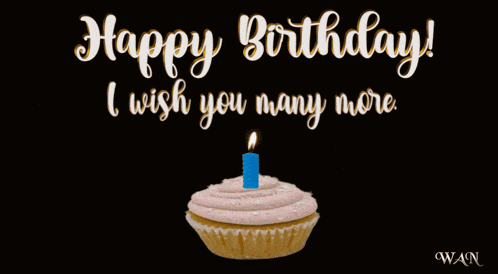 Happy Birthday Birthday Greetings GIF