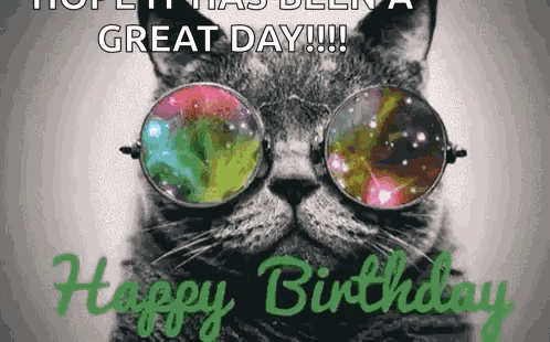 Happy Birthday Birthday GIF