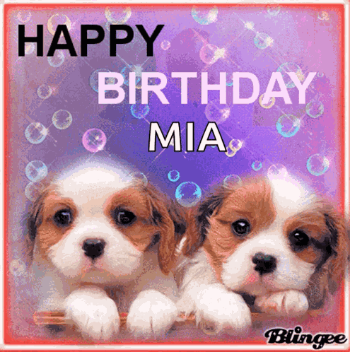 Happy Birthday Birthday GIF