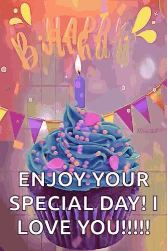 Happy Birthday Birthday Wishes GIF