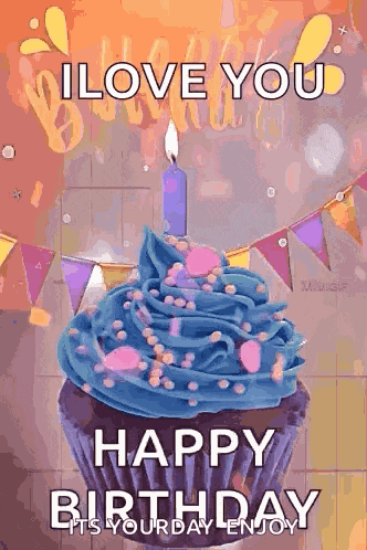 Happy Birthday Birthday Wishes GIF