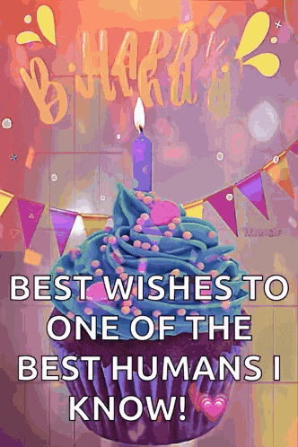Happy Birthday Birthday Wishes GIF