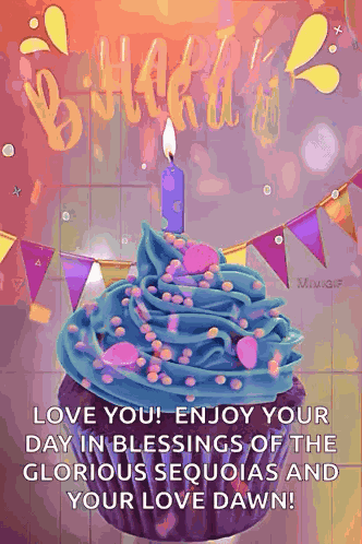Happy Birthday Birthday Wishes GIF